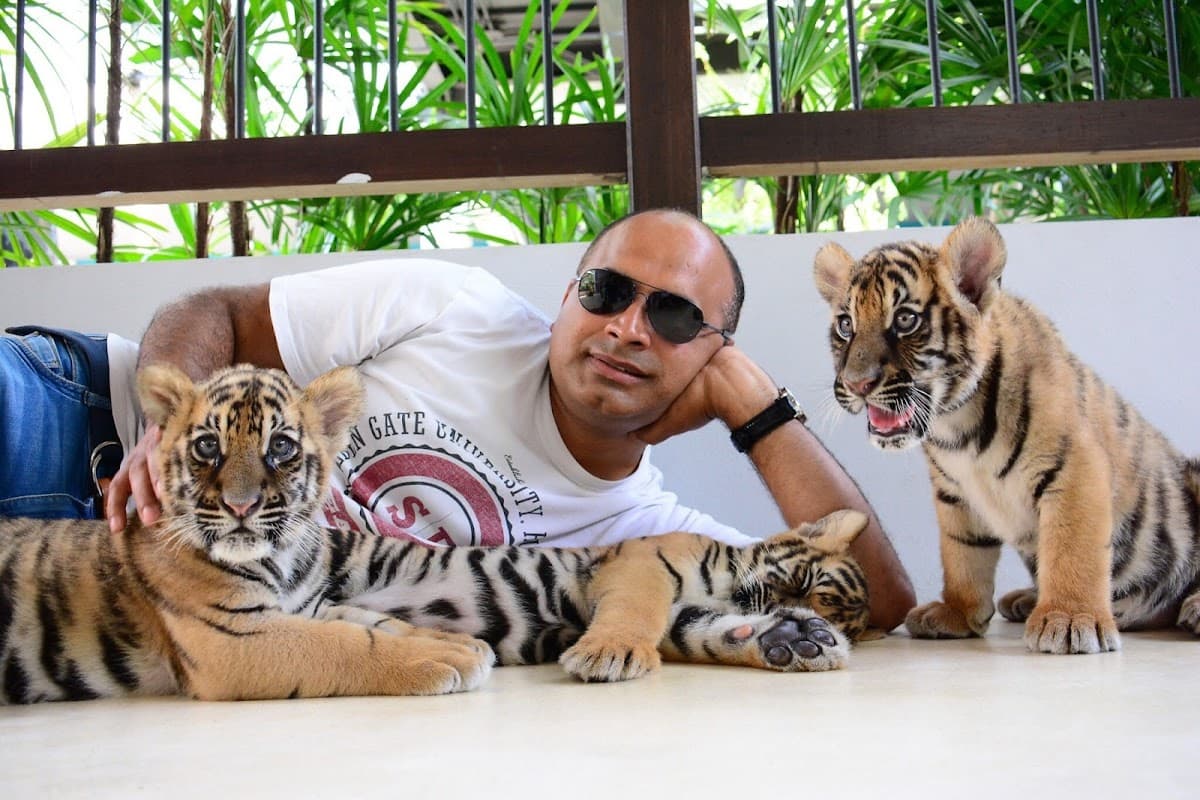 Tiger Park Pattaya 2