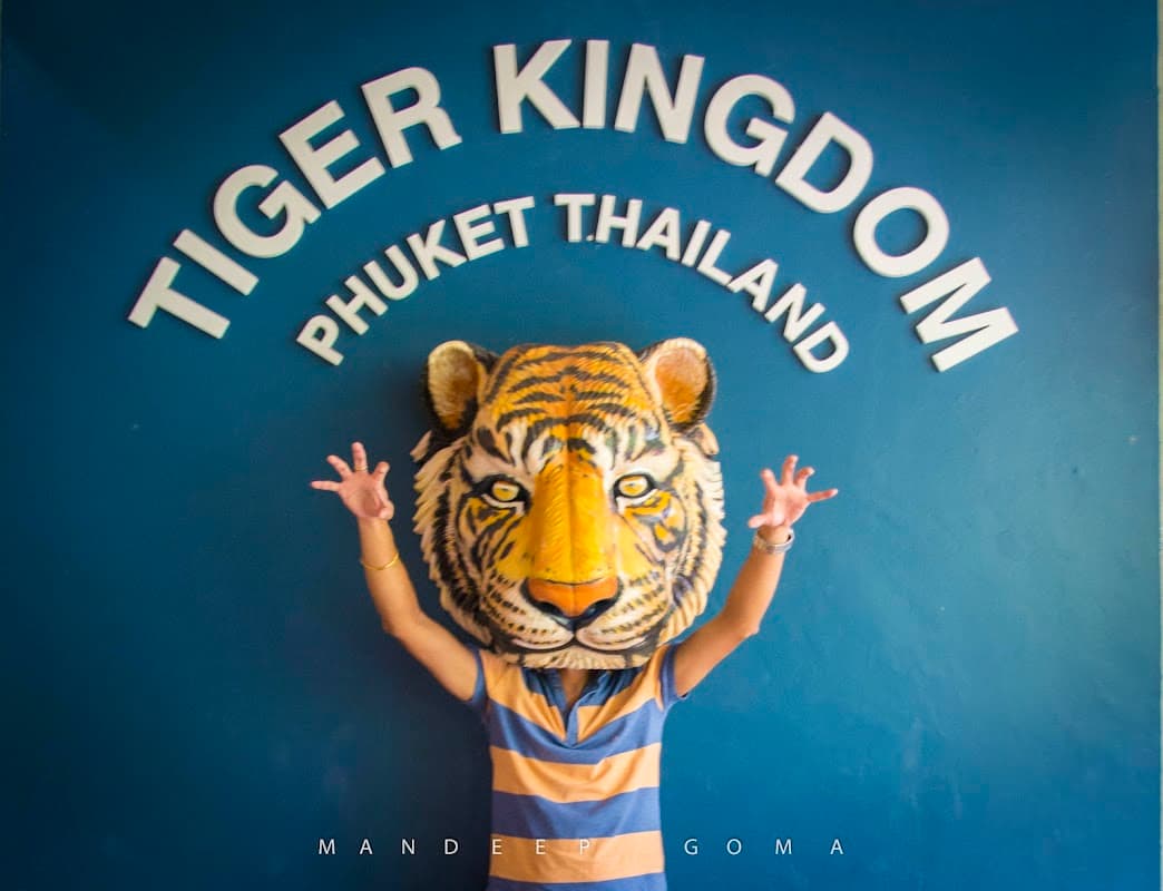 Tiger Kingdom 3