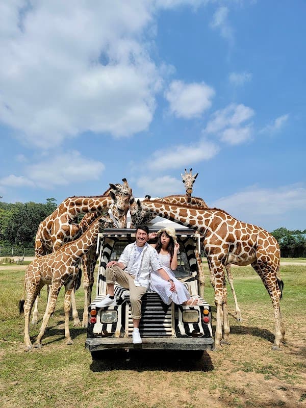 Safari Park Kanchanaburi