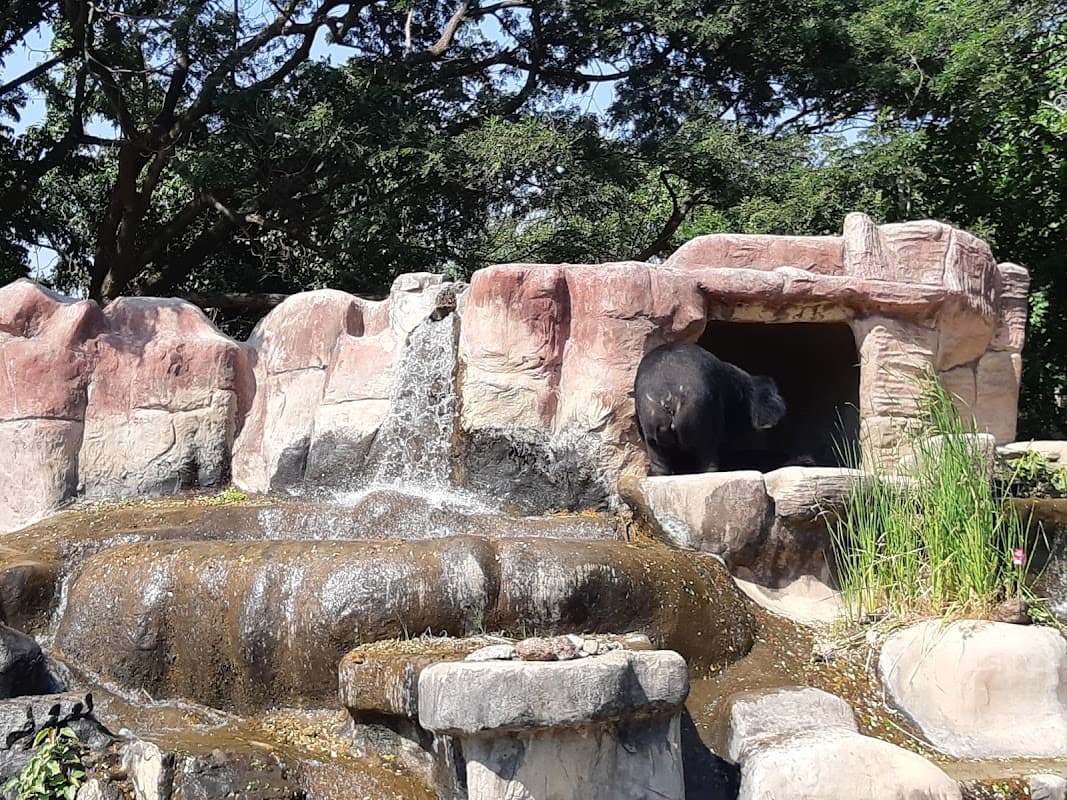 Safari Park Kanchanaburi 3