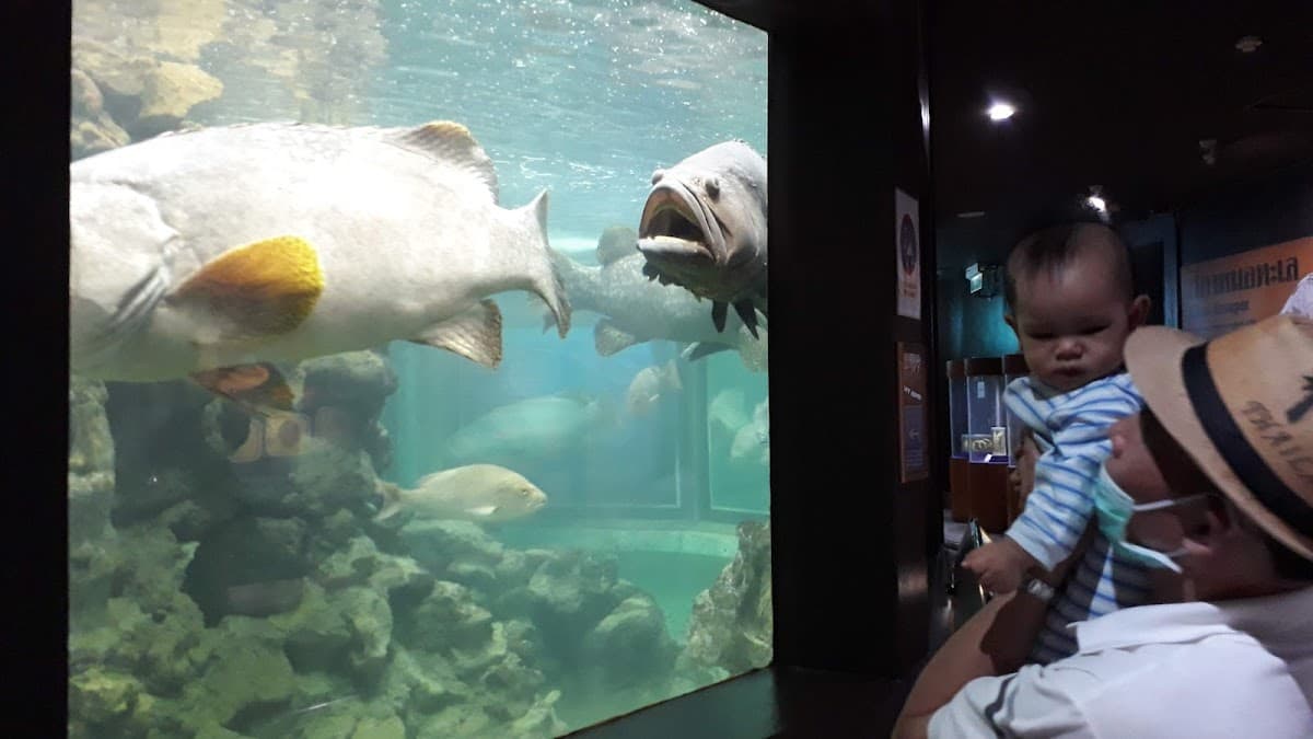 Phuket Aquarium 3