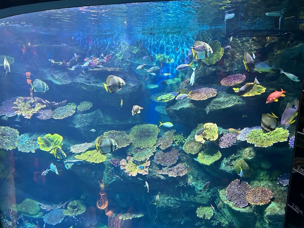 SEA LIFE Bangkok Ocean World 2