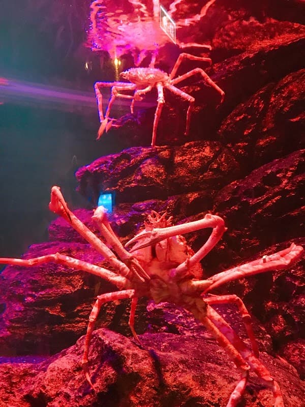 SEA LIFE Bangkok Ocean World 3