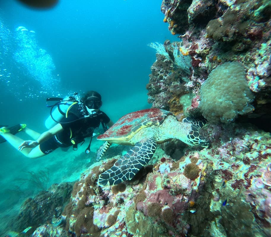 DPM Diving Koh Phi Phi 2