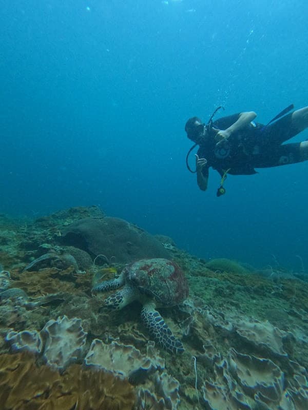 DPM Diving Koh Phi Phi 3