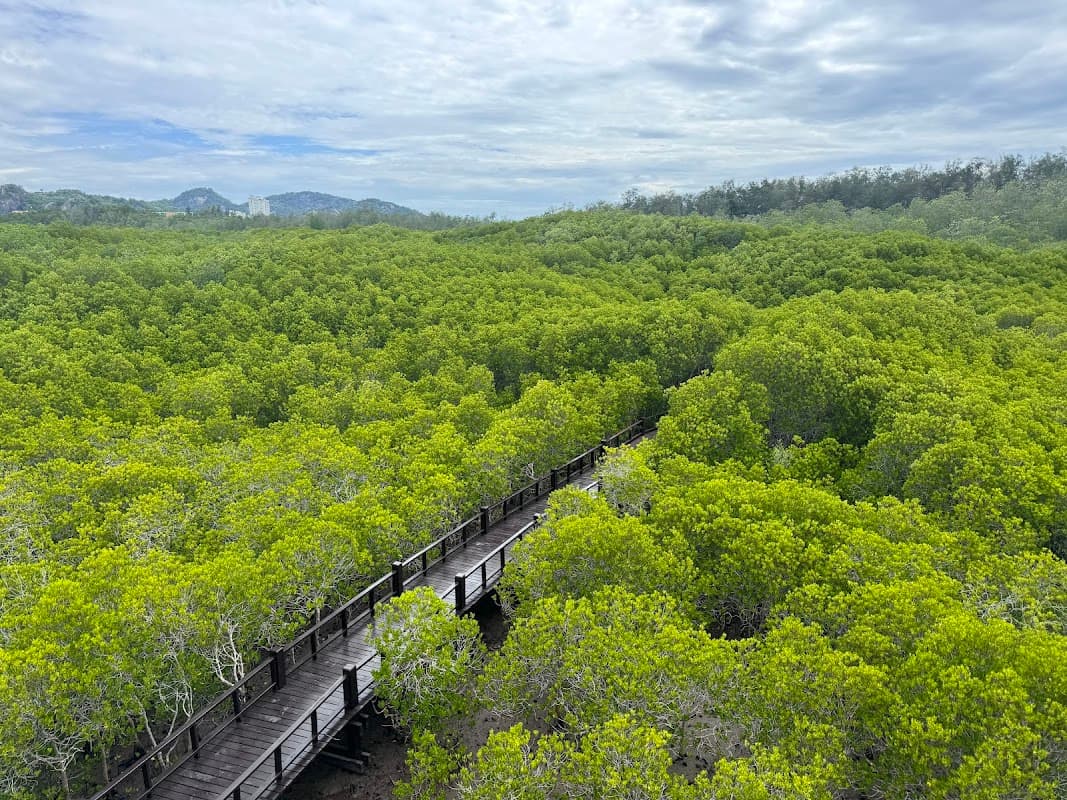 Pran Buri Forest Park