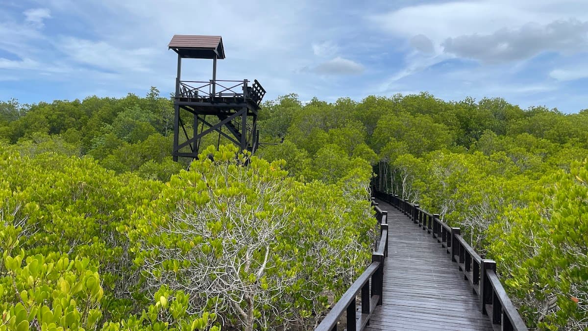 Pran Buri Forest Park 2