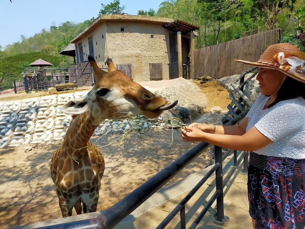 Khao Kheow Open Zoo 2