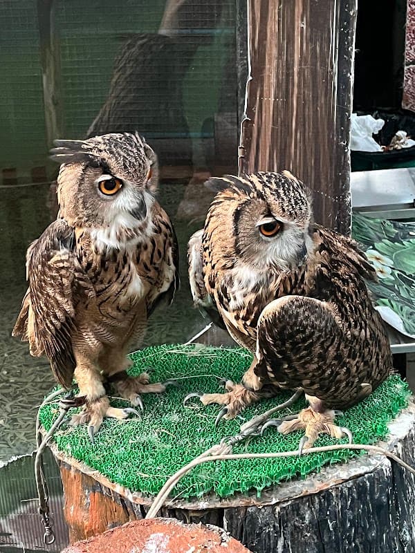 Monster Aquarium Pattaya 2