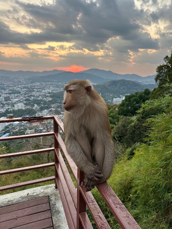 Monkey Hill Viewpoint 2