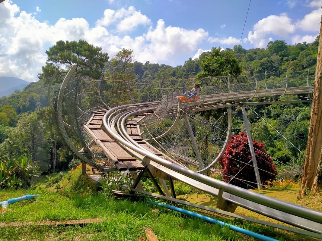 Pong Yang Jungle Coaster & Zipline