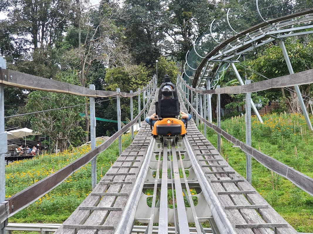 Pong Yang Jungle Coaster & Zipline 2