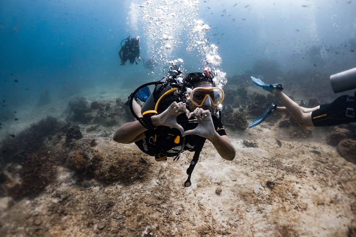 Big Blue Diving School Koh Tao